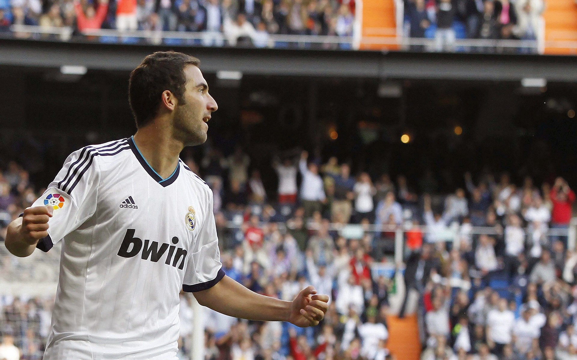 巴西选手气势滔天,势不可挡,巴西现场秀