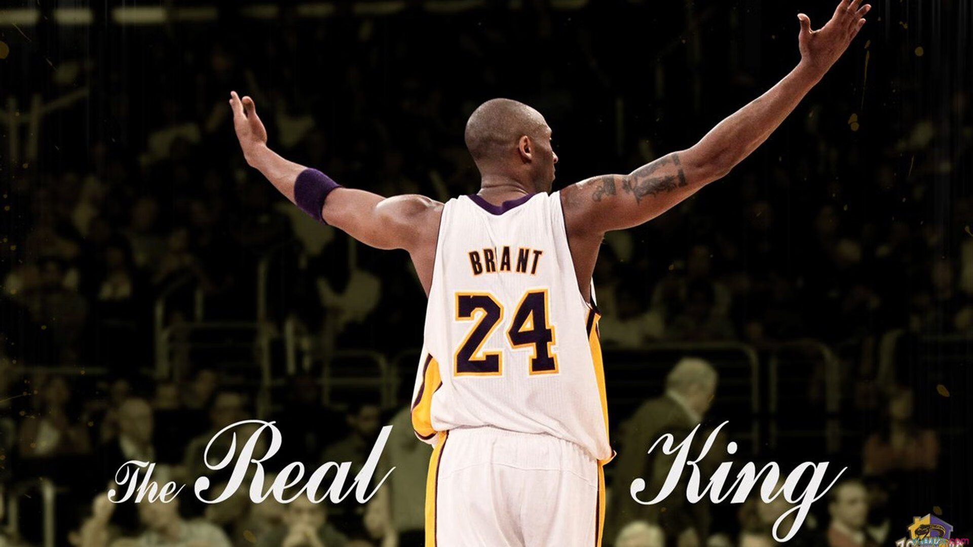 巴西选手气势滔天,势不可挡,巴西现场秀